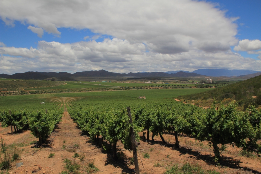 6 Bedroom Property for Sale in Ashton Western Cape